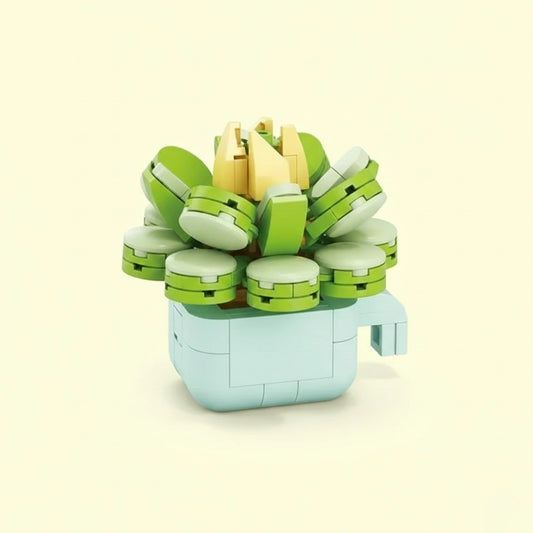 Echeveria Galuca Building Block Toy Plant(1pc) with white background
