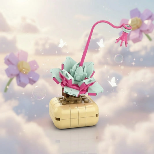 Echeveria lilacina Building Block (1Pc) on the dreamy background.