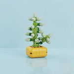 Sedum Burrito Building Block (1Pc)