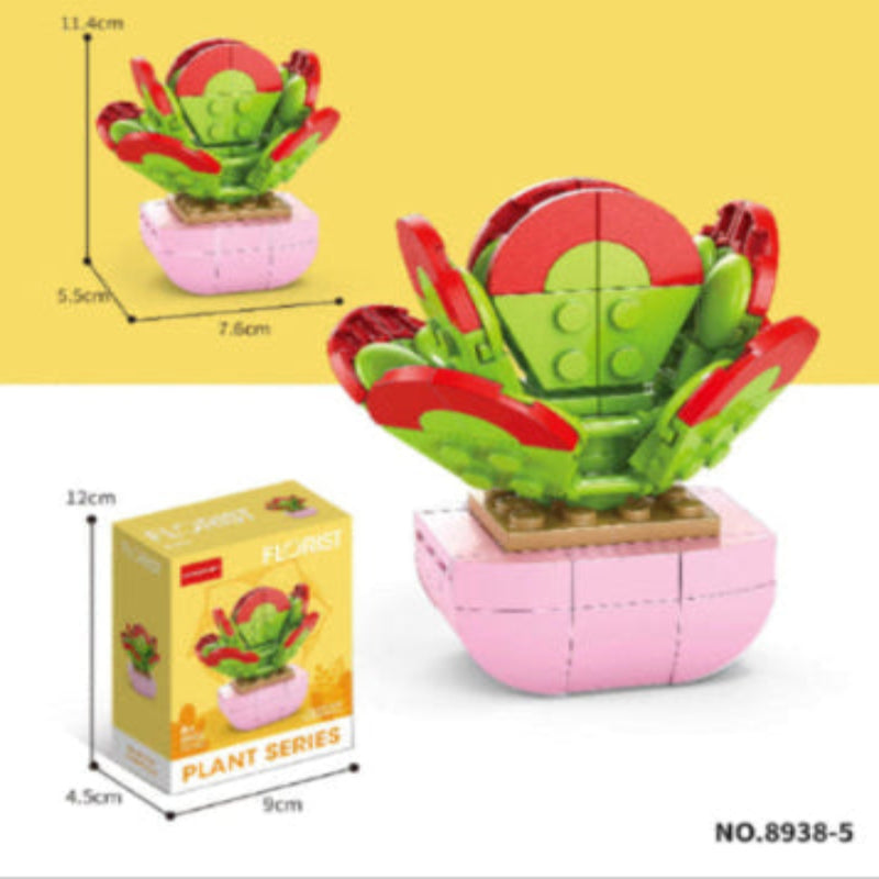 Kalanchoe Thyrsifolia Building Block (1Pc)