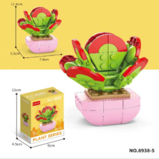 Kalanchoe Thyrsifolia Building block set