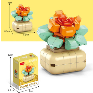 Echeveria Amistar Building Block (1Pc)