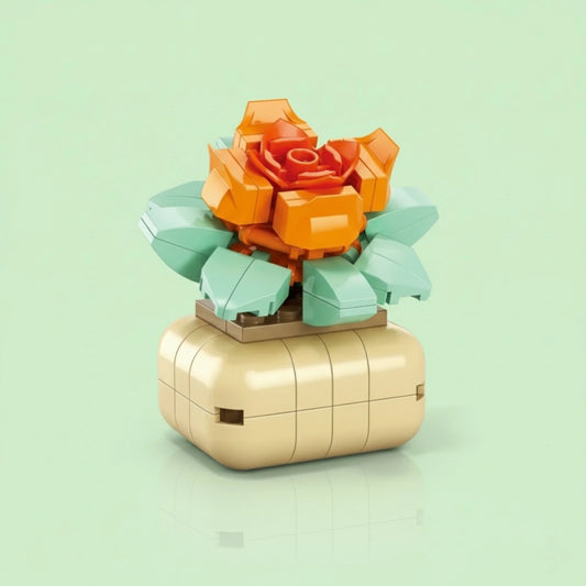 Echeveria Amistar Building Block (1Pc)