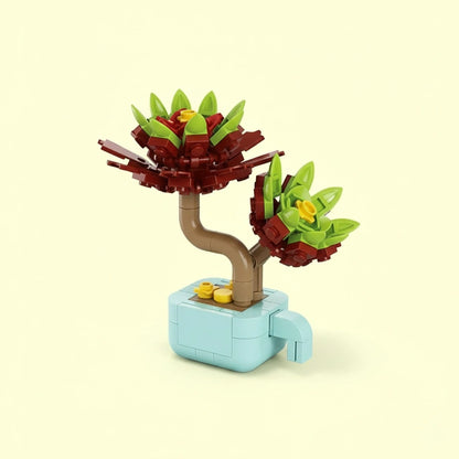 Aeonium Arboreum Plant Building Block (1Pc)