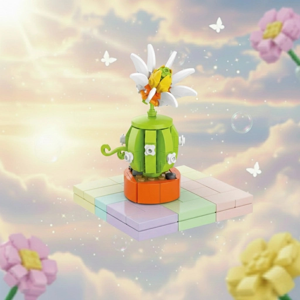 Astrophytum Asterias Block with colourful background.