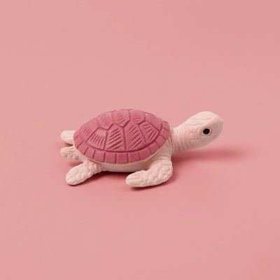 Miniature Turtle Assorted (1pc)