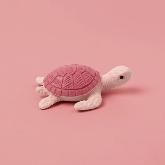 Miniature Turtle Assorted (1pc) on the pink background.