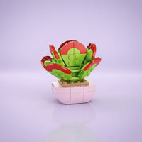Kalanchoe Thyrsifolia Building Block (1Pc)