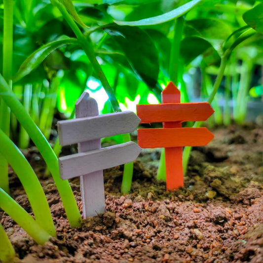A cute colorful pair of Miniature Wooden Post on a soil with some herbs in the background.