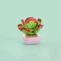 Kalanchoe Thyrsifolia Building Block (1Pc)