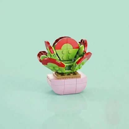 Kalanchoe Thyrsifolia Building Block (1Pc)