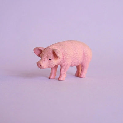 Miniature Garden Pig Assorted (1pc)