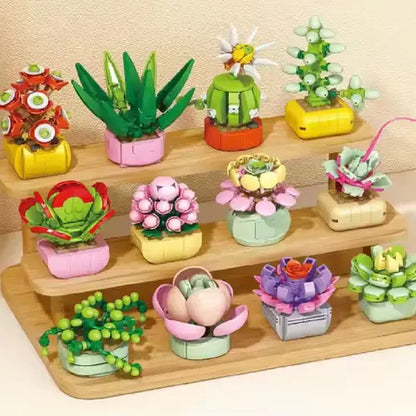Echeveria Galuca Building Block Toy Plant(1pc)