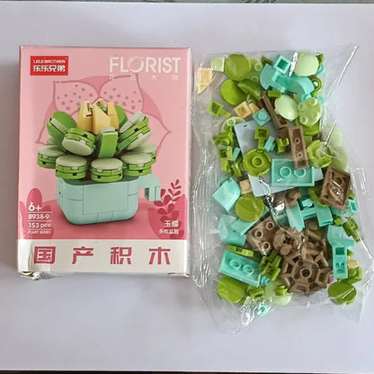 Echeveria Galuca Building Block Toy Plant(1pc)