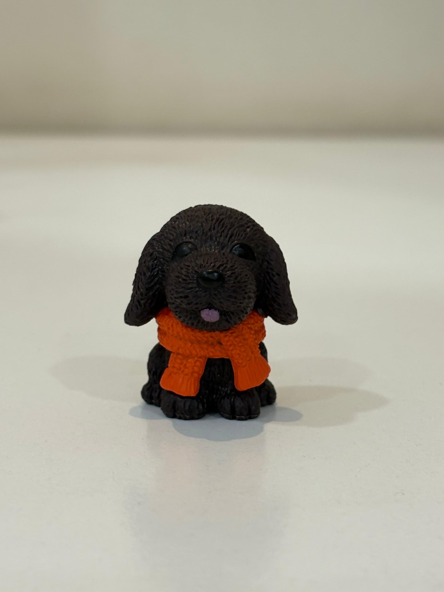 A cute Miniature Furry Dog black colour