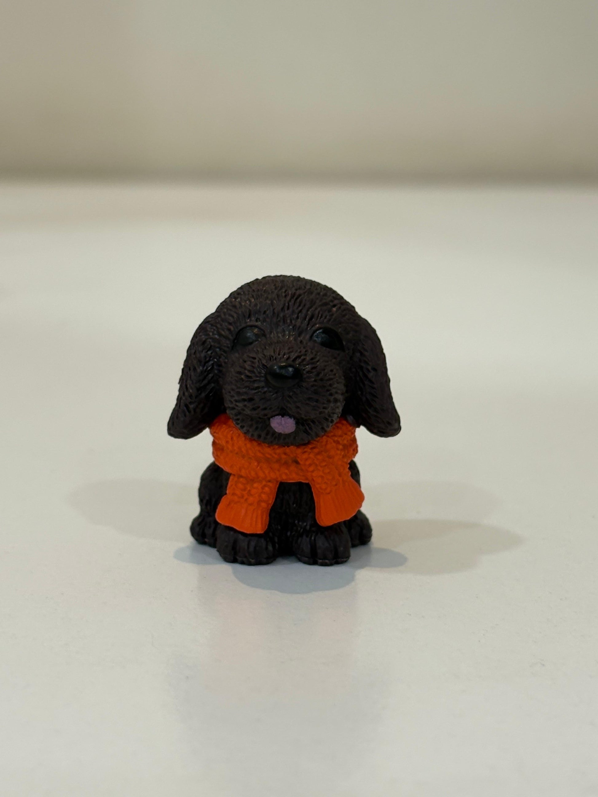 A cute Miniature Furry Dog black colour
