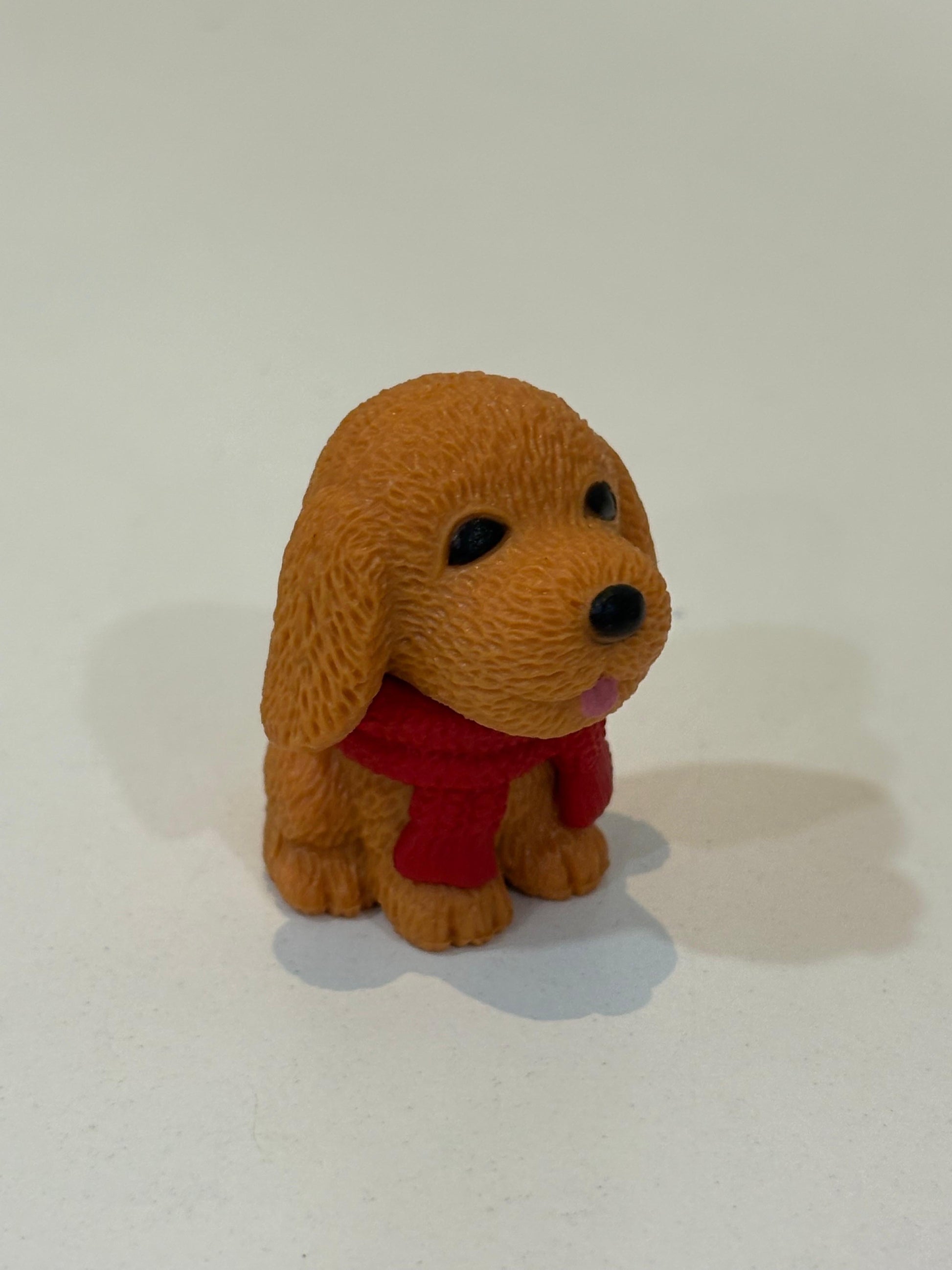 A cute Miniature Furry Dog brown colour