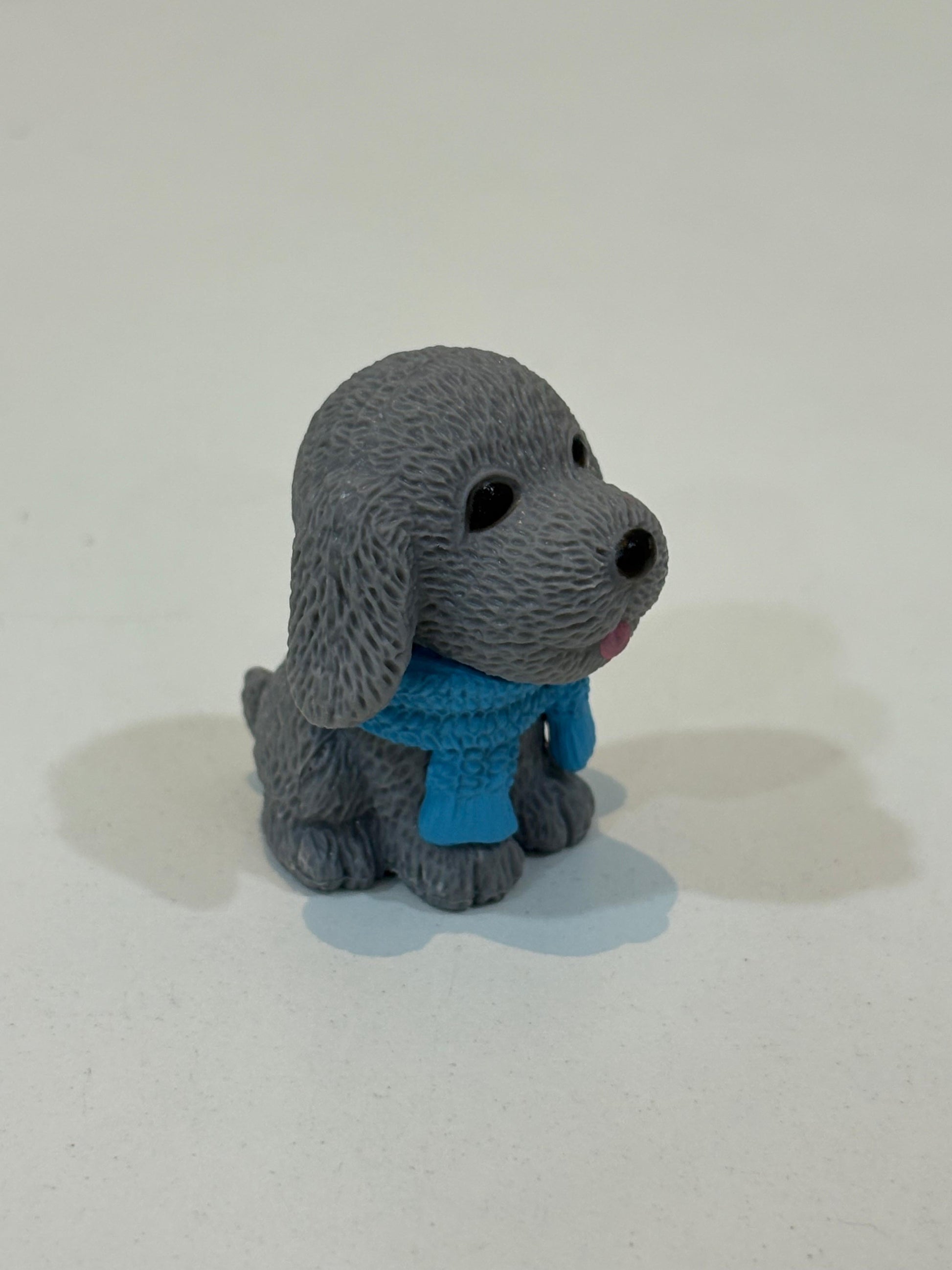 A cute Miniature Furry Dog grey colour
