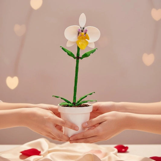 Sharing of White Orchid Flower Building Block (1Pc) in between two partners.