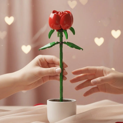 Sharing of Eternal Red Rose Flower Building Block (1Pc) on special occasion.