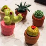 Miniature Cactus Assorted (1pc)