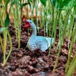 Miniature Geese Assorted (1pc)