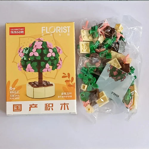 Portulacaria Afra Building Block Toy Plant(1pc)