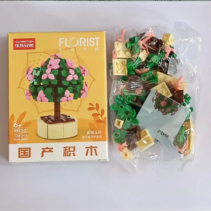 Portulacaria Afra Building Block Toy Plant(1pc)