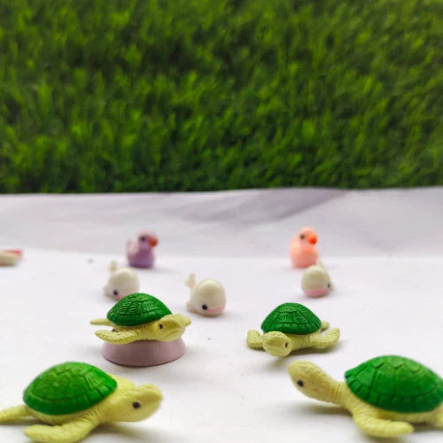 Miniature Turtle Assorted (1pc)