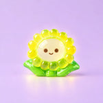 Miniature Glow Sunflower Assorted(1pc)