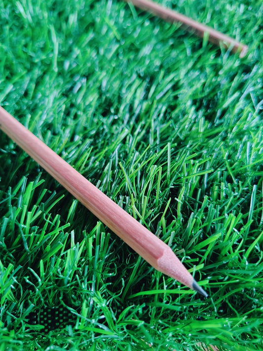 Wood Pencil (1pc)